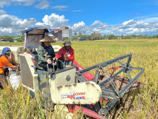 
					Pengairan dan Monitoring Distribusi Serapan Gabah Jadi Fokus Bupati Pesawaran untuk Dukung Produktivitas Petani