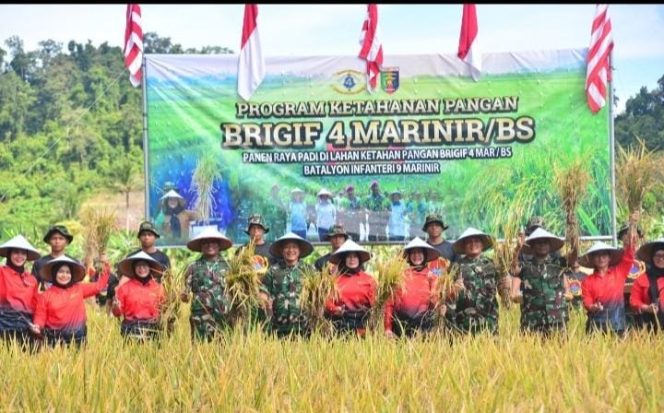 
					Wujud Nyata Dukung Ketahanan Pangan Nasional, Prajurit Yonif 9 Marinir Gelar Panen Raya Padi